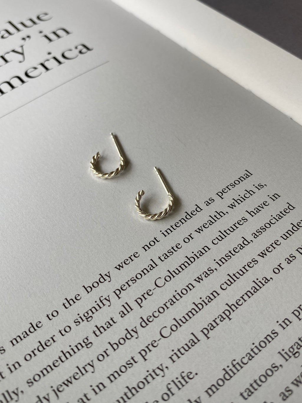 Small Hoop Earrings
